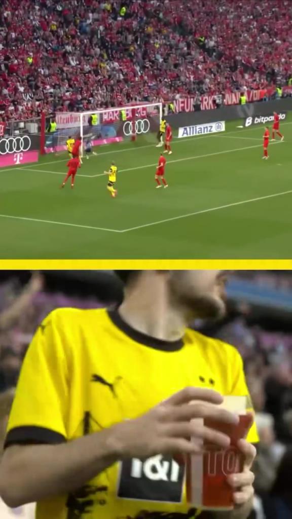 勇者無(wú)懼！這是真多特球迷！在拜仁球迷區(qū)一個(gè)人肆意慶祝！